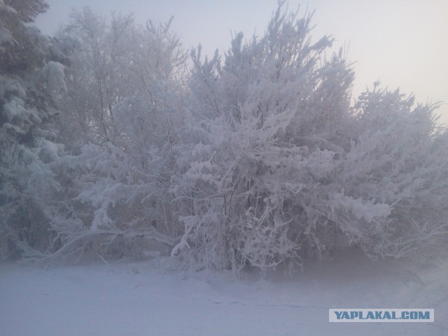 В рейсе 2