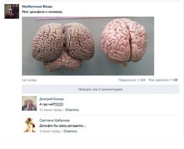Приколы и маразмы