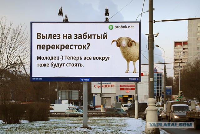 Водителей-хамов будут высмеивать плакатами
