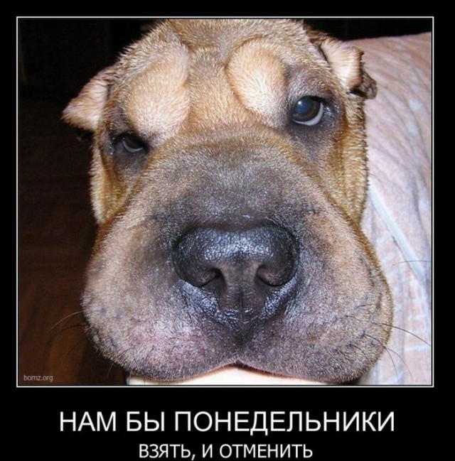 Картинки
