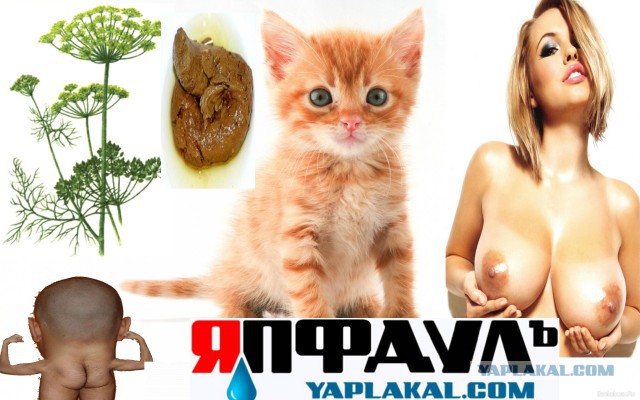 6 Заповедей UQодрочера