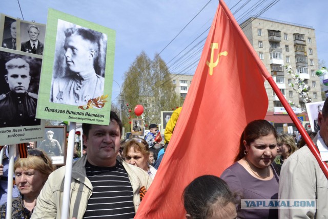 Бессмертный полк глазами и мыслями одного человека