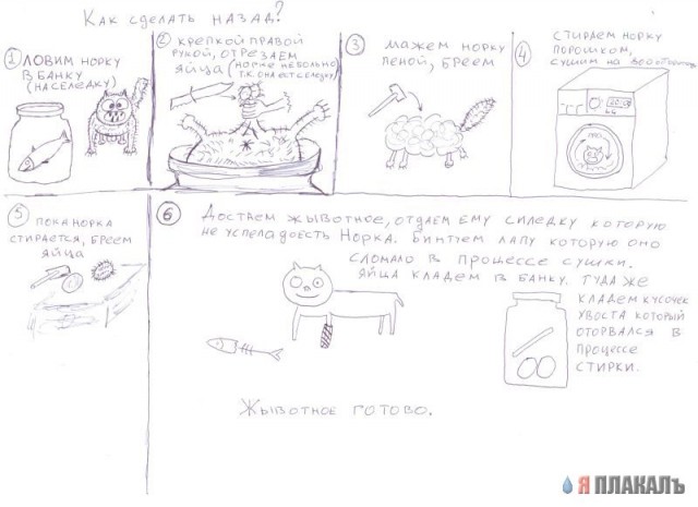 КАРИКАТУРЫ. Прикольные карикатуры