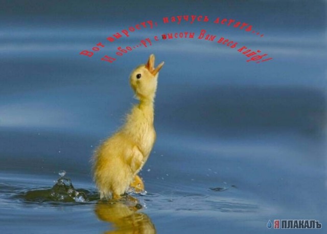 Уже да :) Ужо пятнецца...