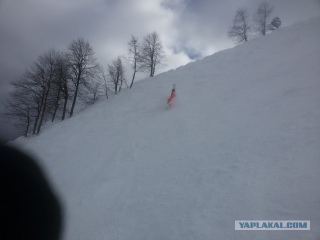 Поездка на Роза Хутор