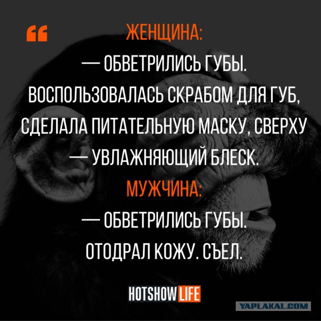 Картинки из ваших этих итернетов...