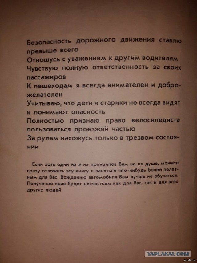 "Стопхам", "лев против", "трезвые дворы" и прочая х...