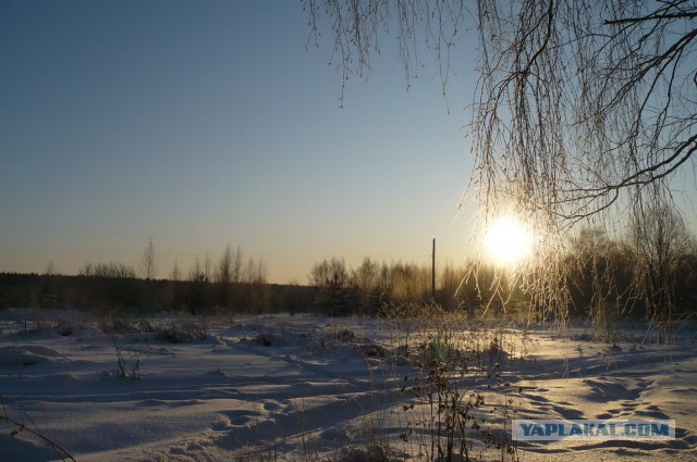 В деревню...