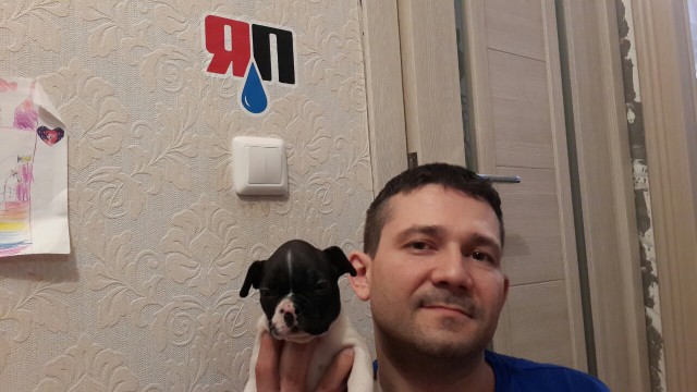 Завёл себе друга