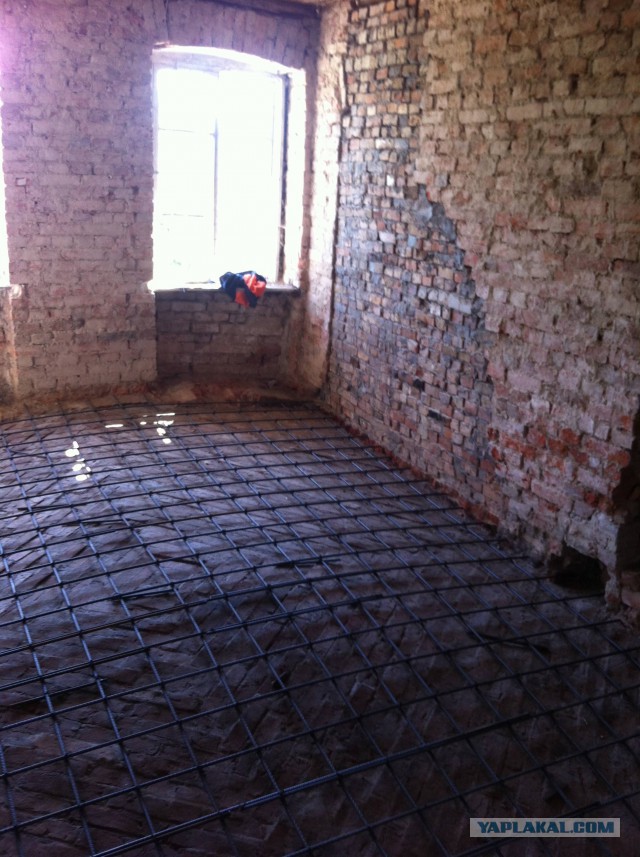 Крякнет ли серый гусь?