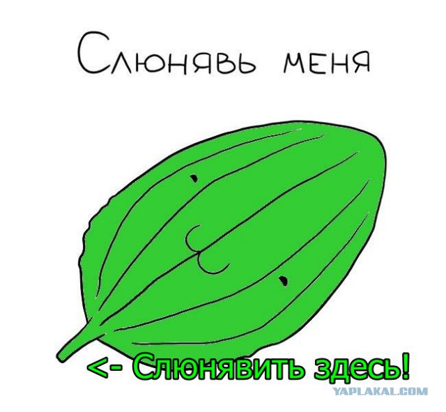 Подборка частицы смеха...