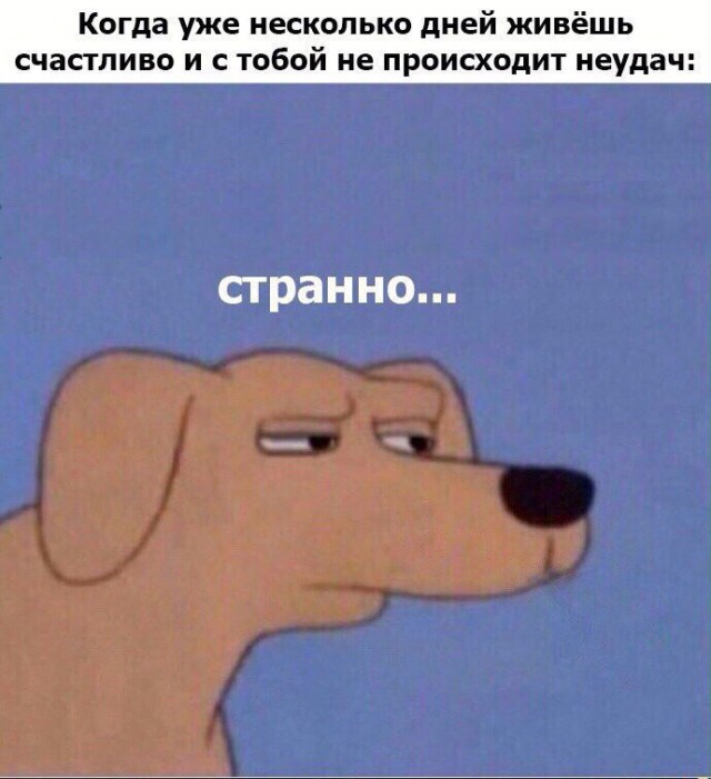 Подборка интересных и веселых картинок