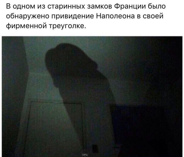 Подборка безудержного веселья