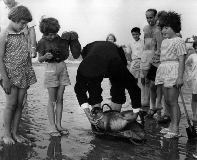 Ретро-ассорти