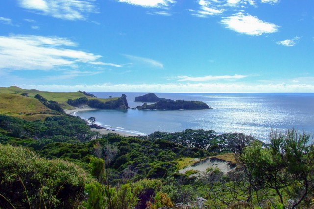Great Barrier Island. Новая Зеландия.
