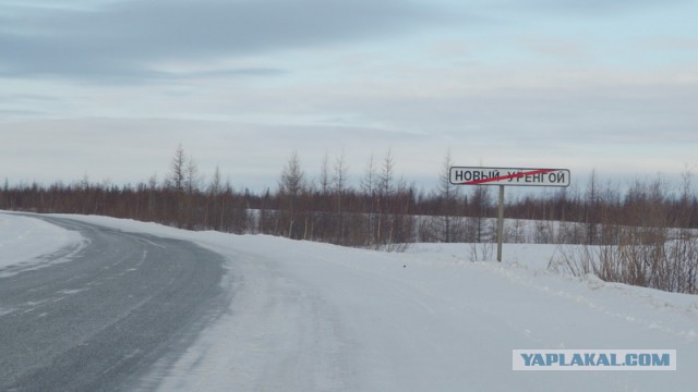 Новый Уренгой-Надым, покатушки  в выходные на День Оленевода