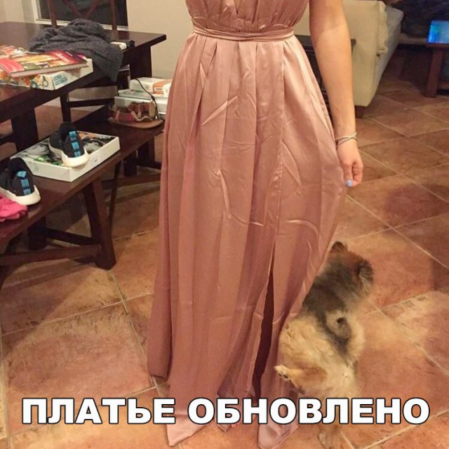 Подборка забавных животных