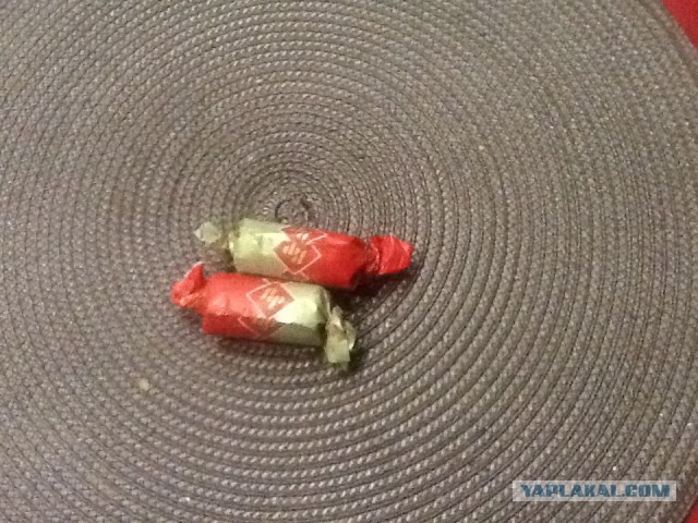 Жена спалила