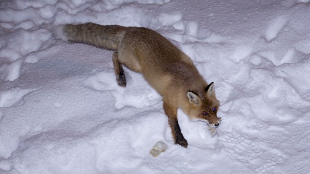 Просто Природа