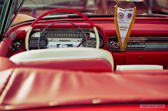American Beauty Car Show 2011