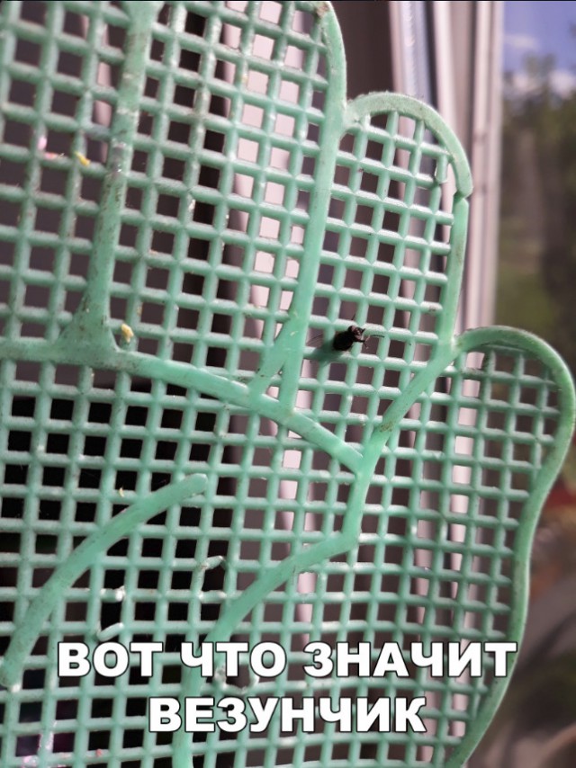 Нестандартный юмор