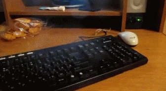 Компьютерная мышка ворует печенье!