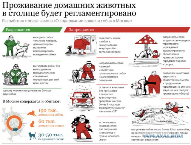 в Петербурге травившую собак догхантершу "накормили" отравленным мясом