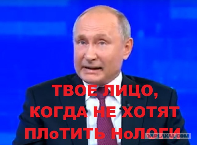 Прямая линия 20.06.2019
