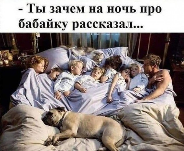 Немного картинок для настроения 15.11.19