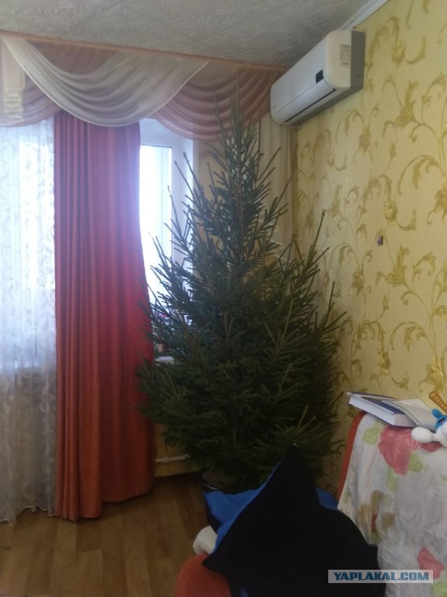 Народ, а давайте своими ёлками делиться и хвастаться? Пора бы уже )