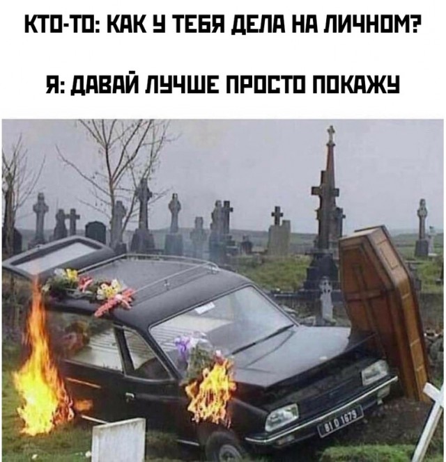 Весёлый полтишок 28.03