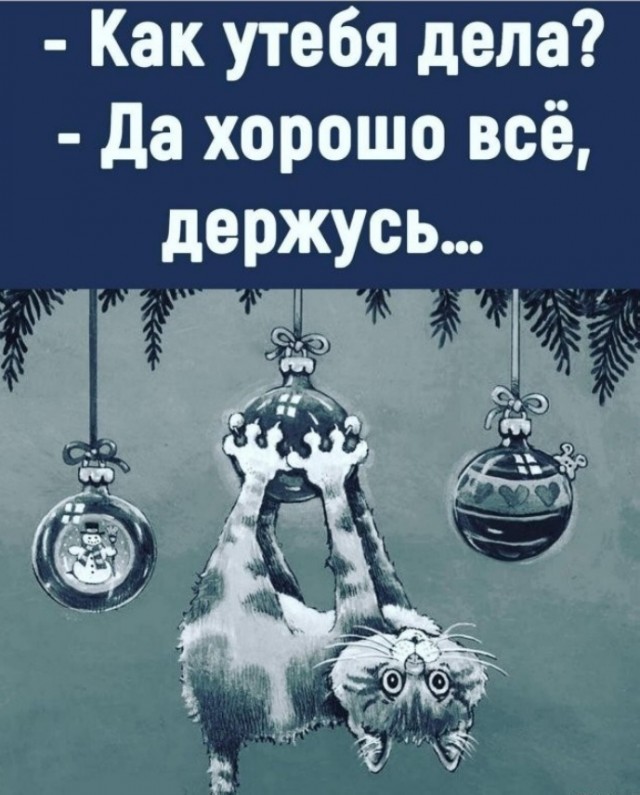 Прикольные и просто красивые картинки 30.12.2021