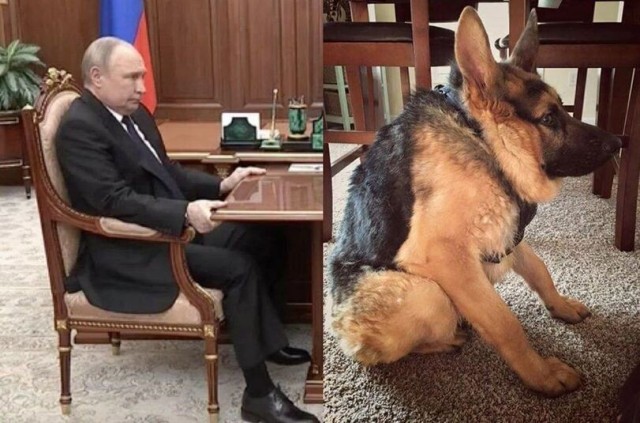 50 оттенков серого. Vol.4  Или самосвал баянов