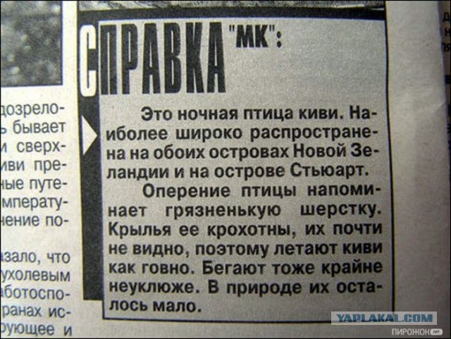 А помните клип?