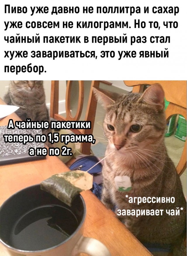 Так себе картинки 04.09.22