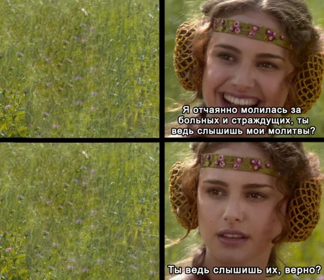 Собрание началось