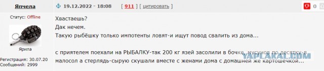 Очередной раз о языковых проблемах