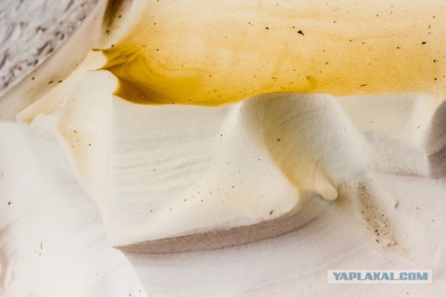 23 марта. Киев. Весна.