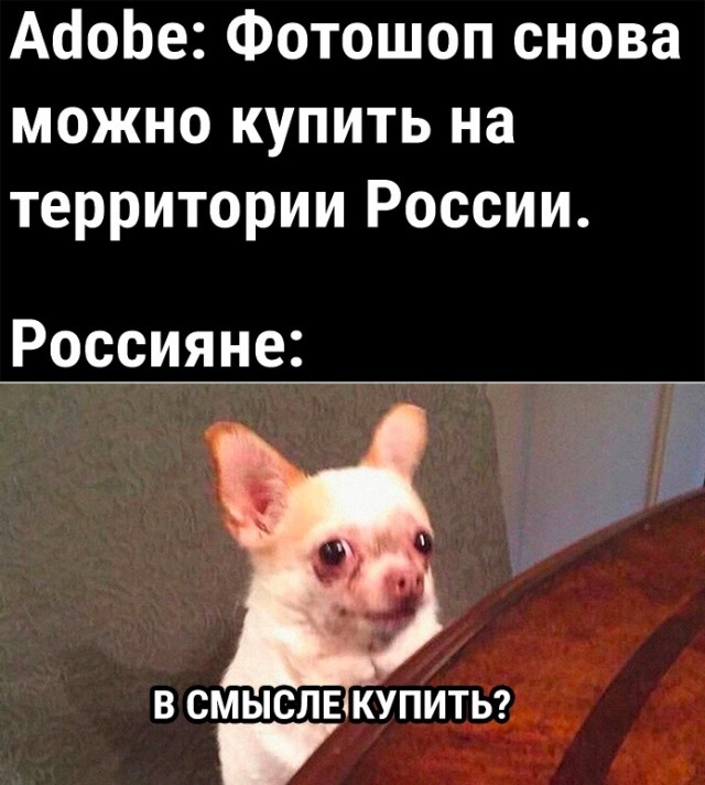 Так себе картинки 09.05.23