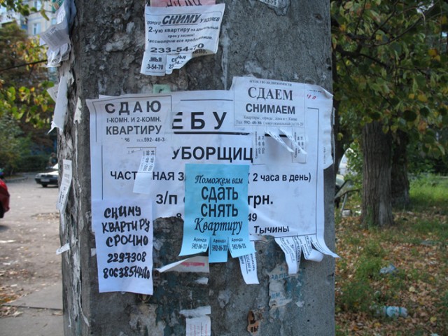 Мысли уборщицы