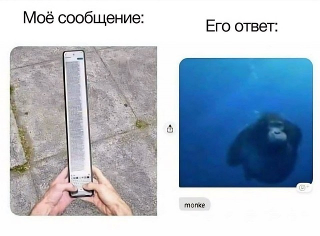 Мемчики и картинки для настроения и подумать