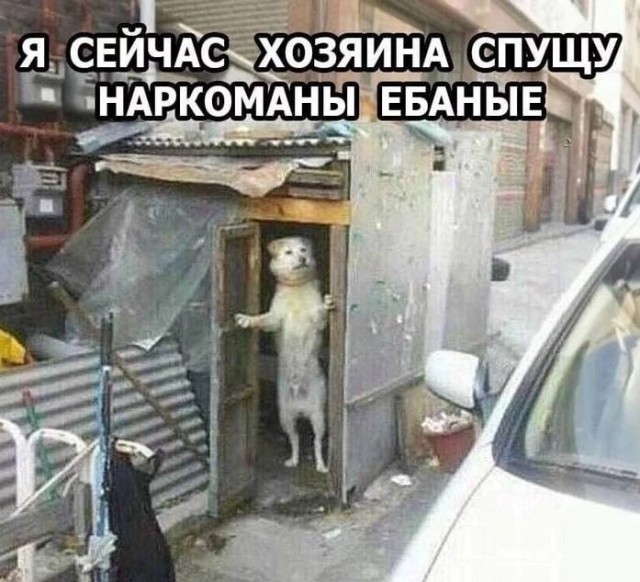 Завалялось тут случайно немного забавных картинок
