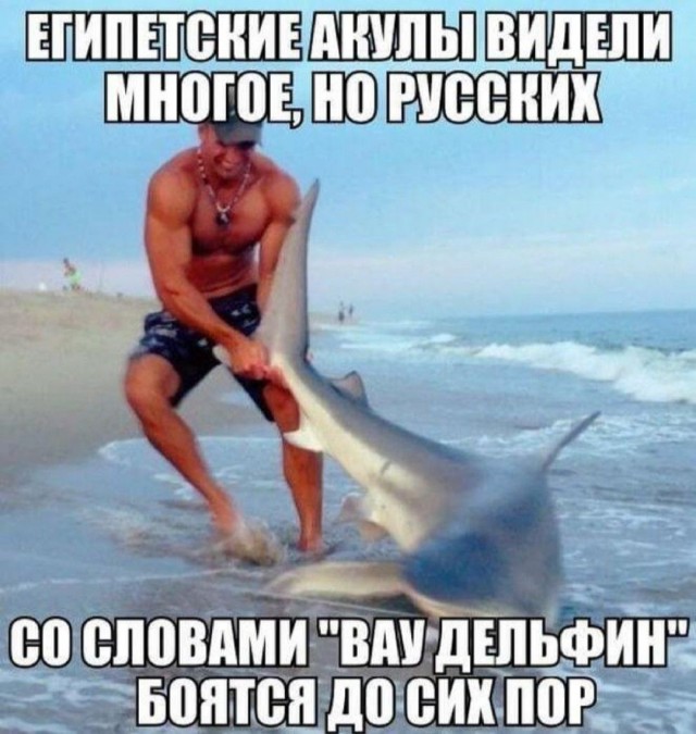 Что-то много грустного стало на Япе, может улыбнет?