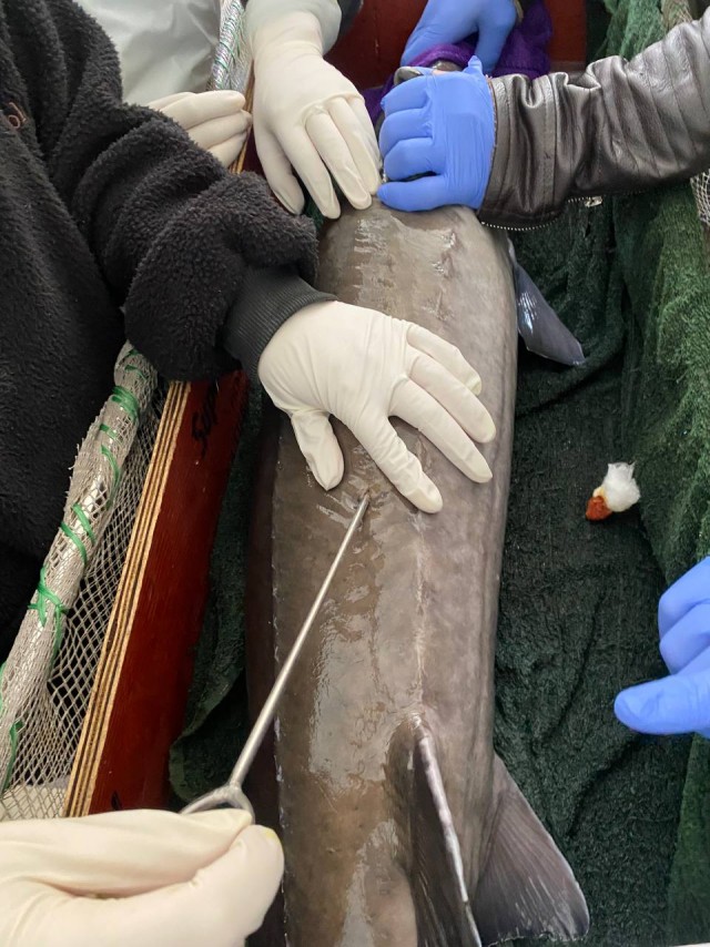 Бутан, таинственный Бутан