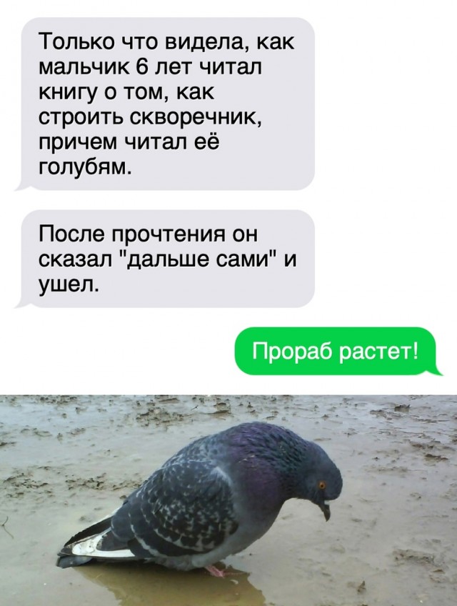 Так себе картинки 22.02.25