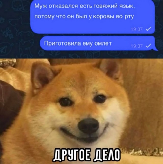 Весёлый полтишок 06.06.25