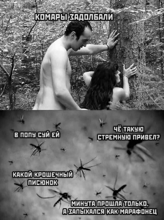 Так себе картинки 14.06.25