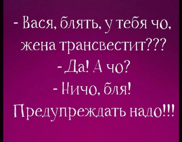 Веселое настроение в картинках (14.08.2025)