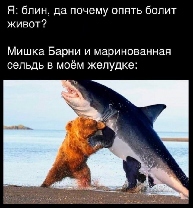 Веселые картинки в понедельник (06.10)