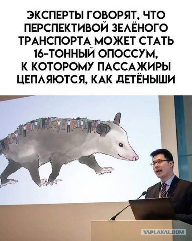 Забавные и не очень скромные картинки - 18